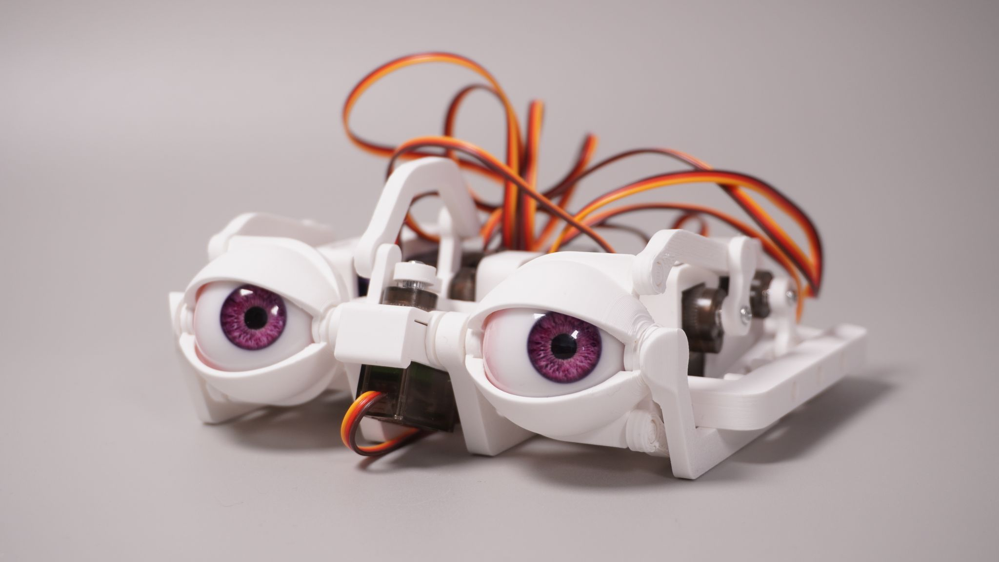 Will's eye mechanism